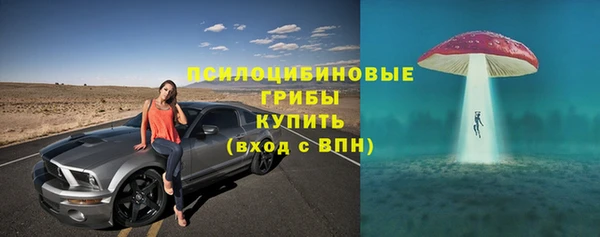 эйфоретик Абинск