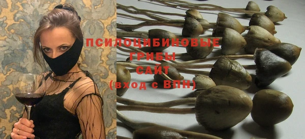 эйфоретик Абинск