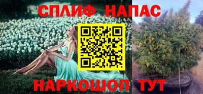 спайс Пенза