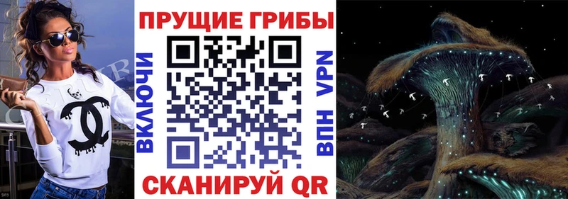 где продают наркотики  Аксай  Псилоцибиновые грибы прущие грибы 