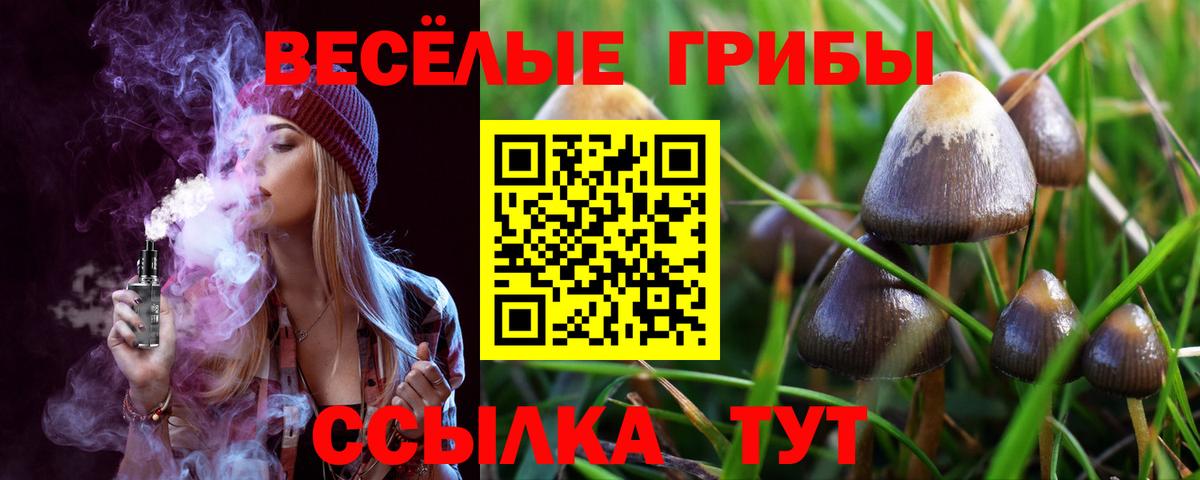 Псилоцибиновые грибы Psilocybine cubensis  Галлюциногенные грибы Cubensis  Аксай  Вход с VPN 