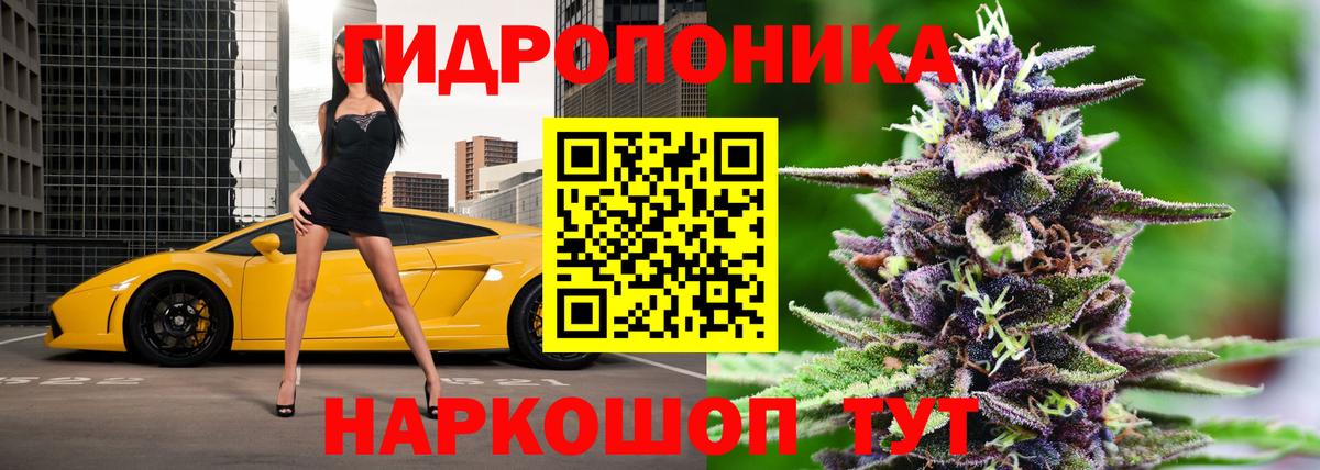 МАРИХУАНА сатива Аксай